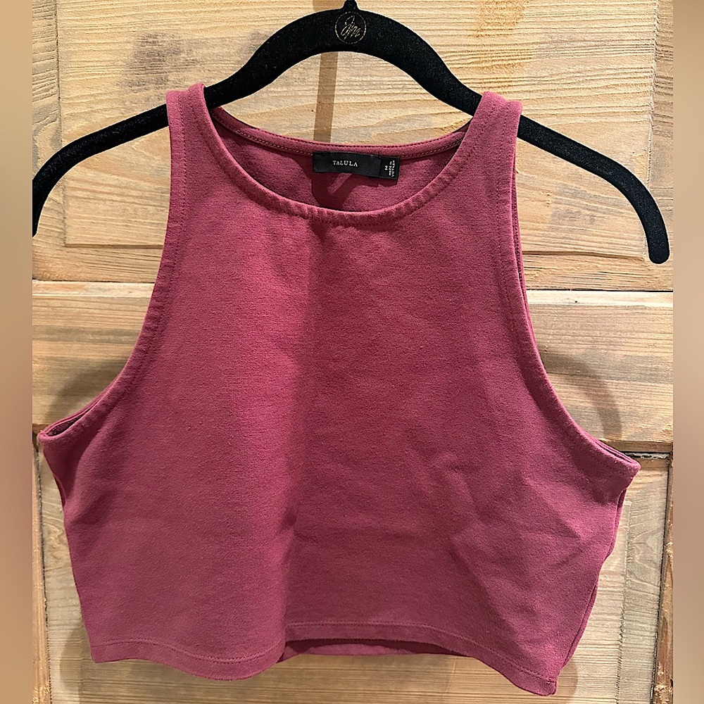 Aritzia Talula “Wiltona” Mauve Crop Top